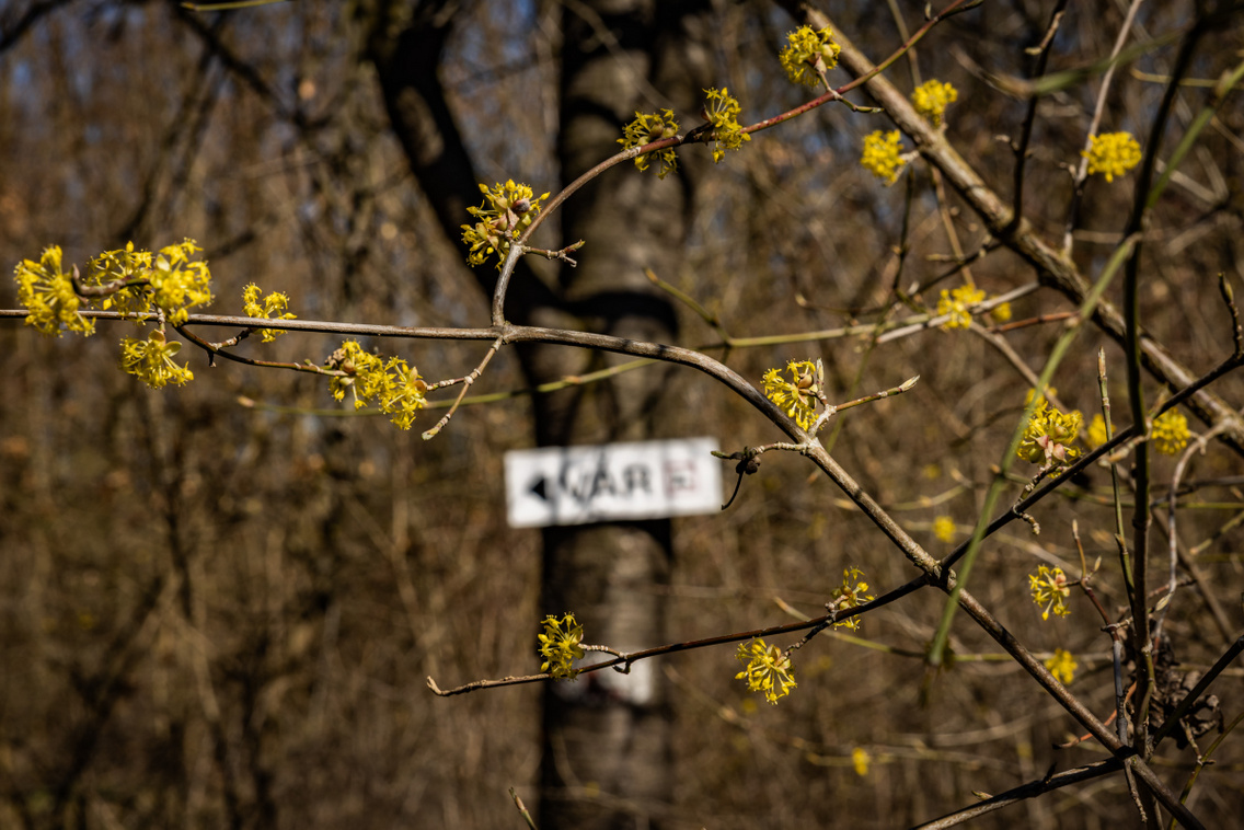 Csővár túra 250319 Szabó Gábor 005