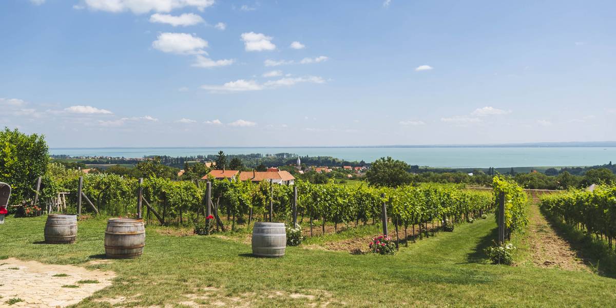 Tucatnyi nyárindító program vár a Balatonnál